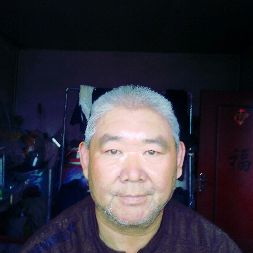 平淡的火龙果的照片