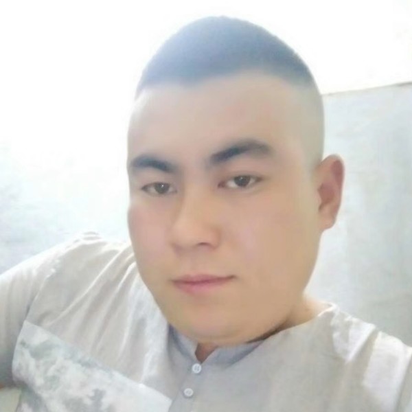 安详的蚂蚁的照片