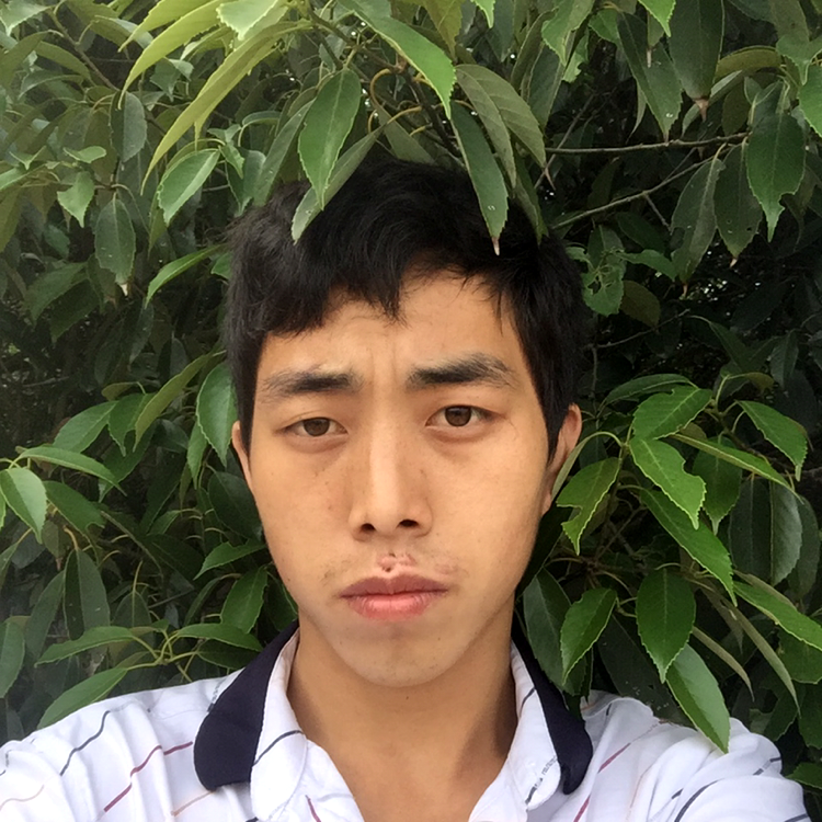 小熊猫漫步时尚的照片