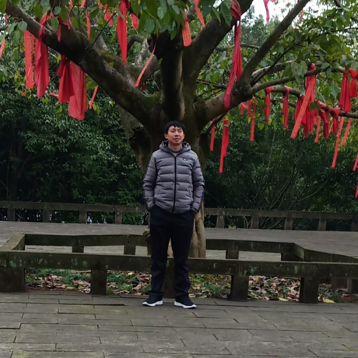 母鸡孝顺的照片