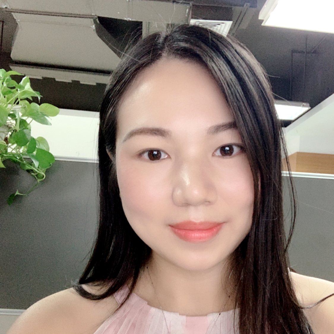 D调的优雅的照片