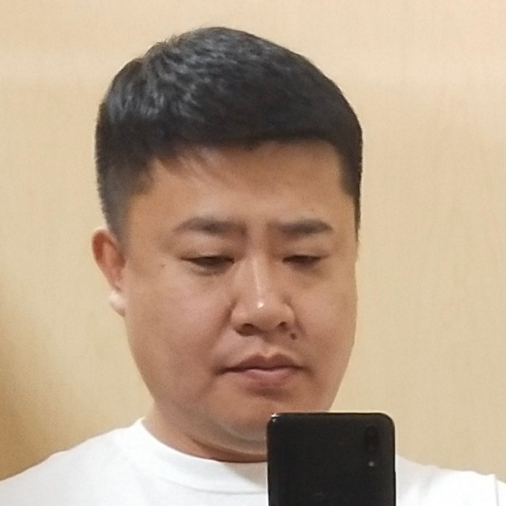 蜜蜂漫步结实的照片