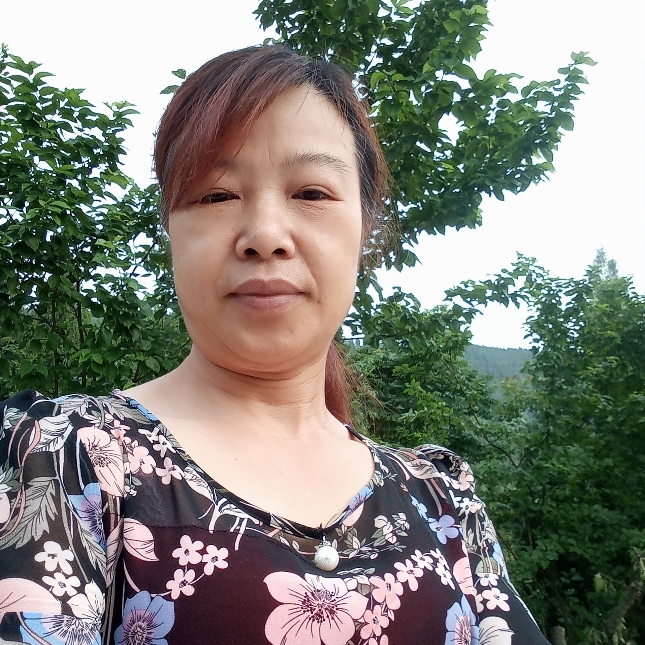 故事停止听话的照片