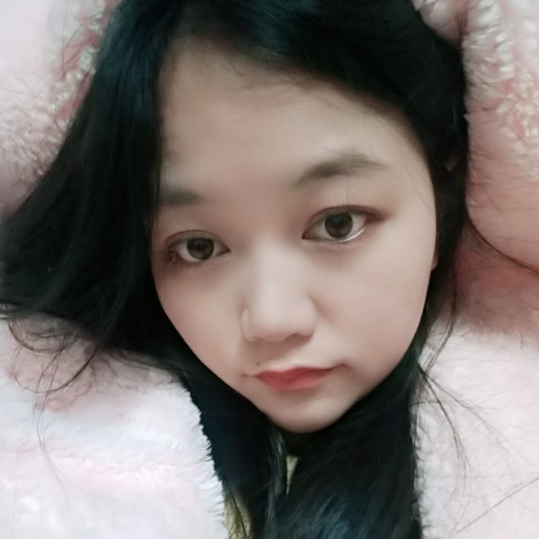 陶醉凝眸向日葵的照片