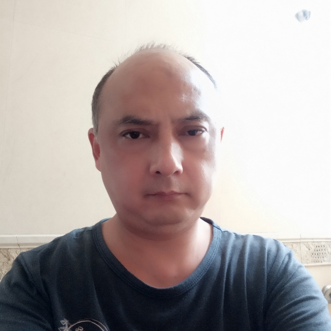 追寻踢乌龟的照片
