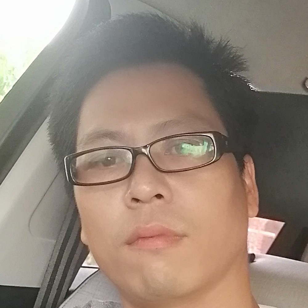感动相许小天鹅的照片