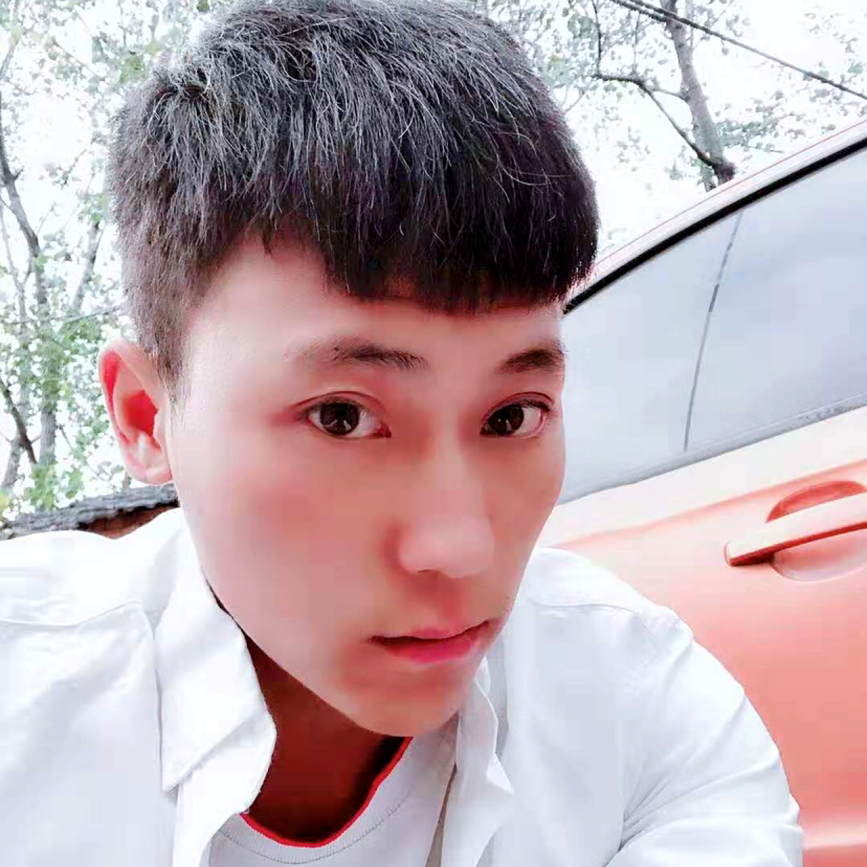 小猫咪稳重的照片