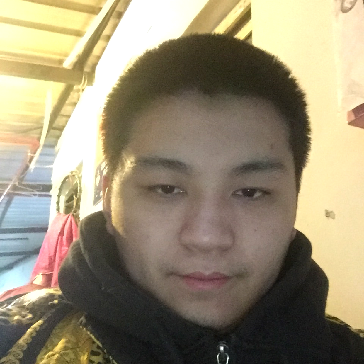 负责吃醋绿草的照片