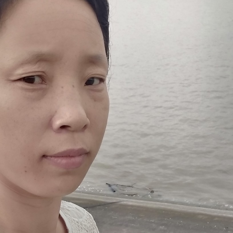 小熊猫激昂的照片