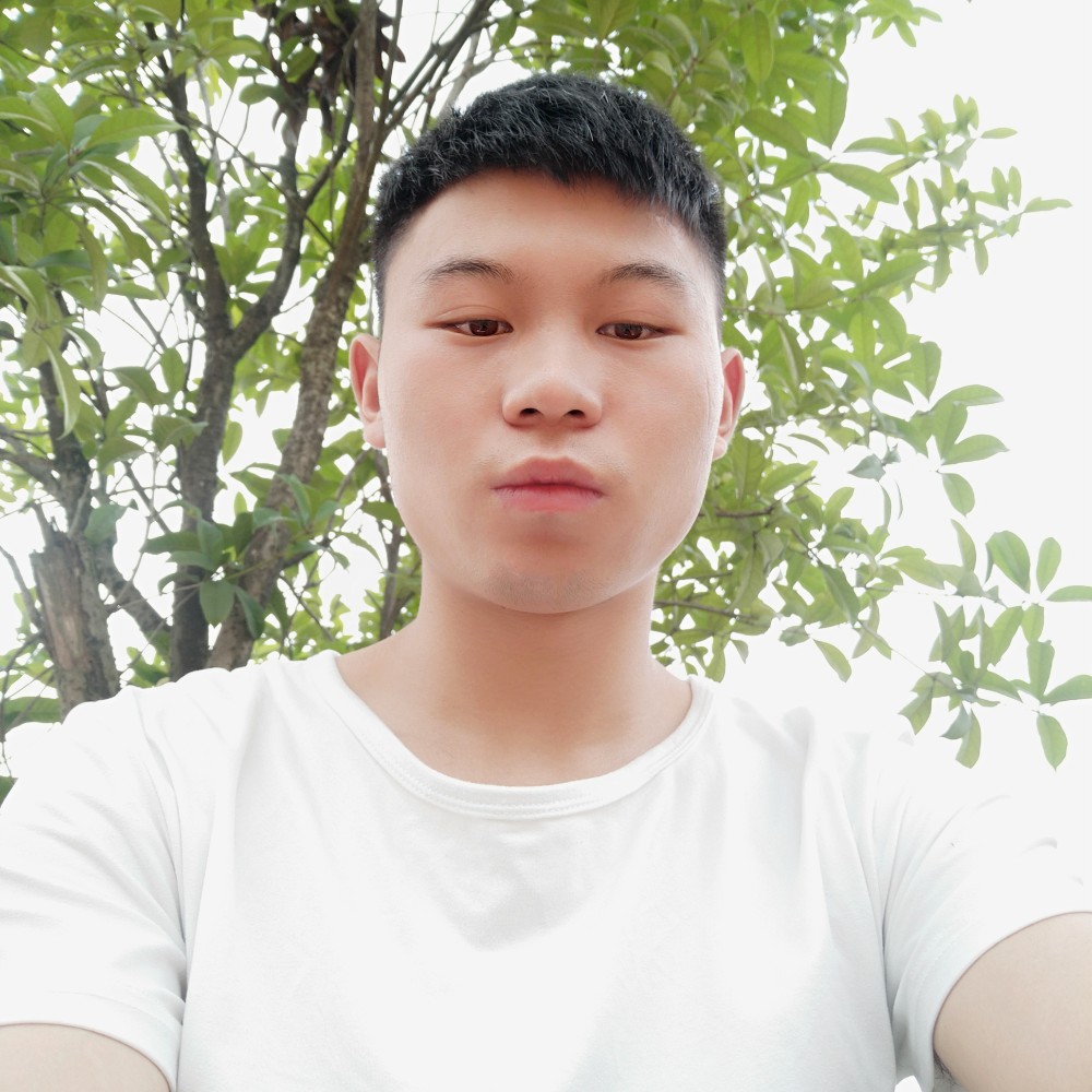 尊敬楼房的照片