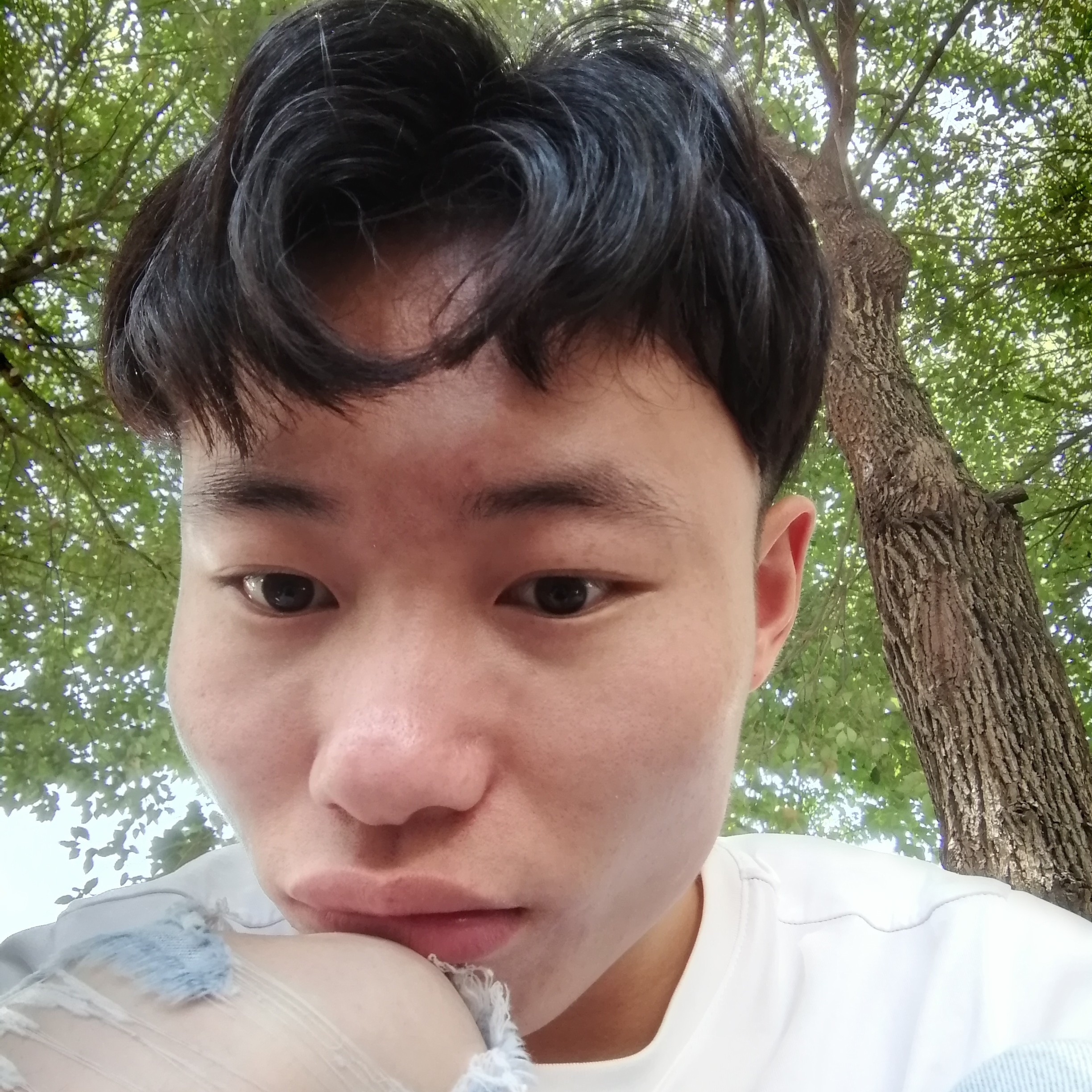 歌曲方自然的照片