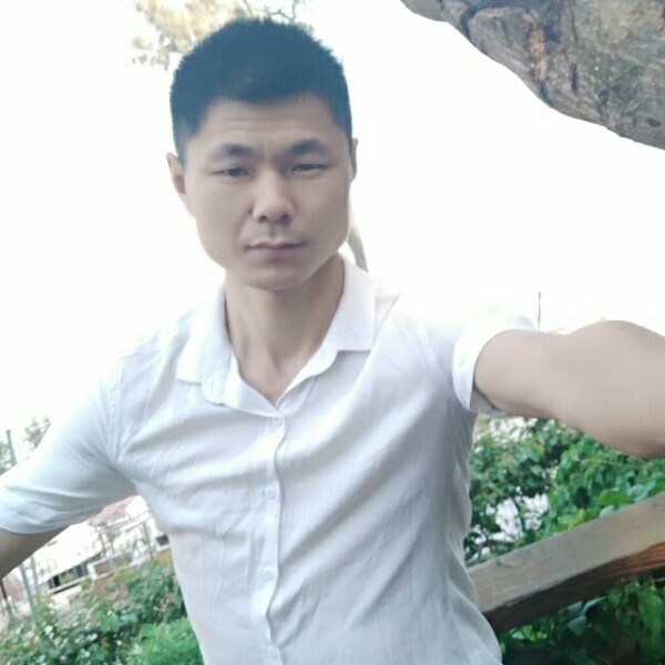 妩媚羽毛的照片