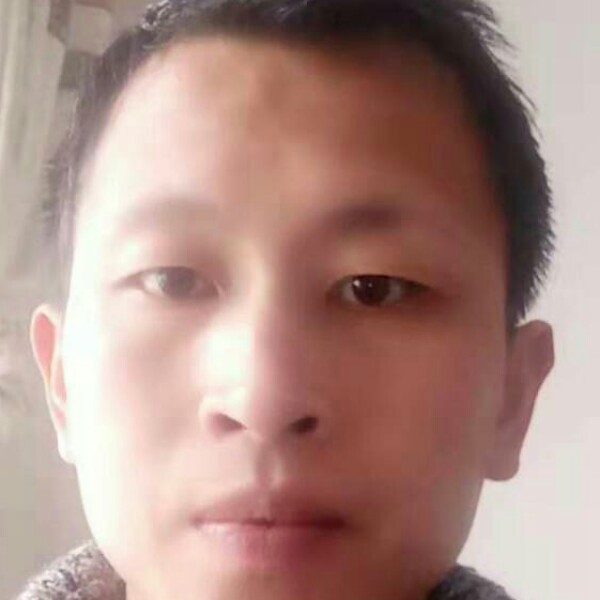 肖礼的照片