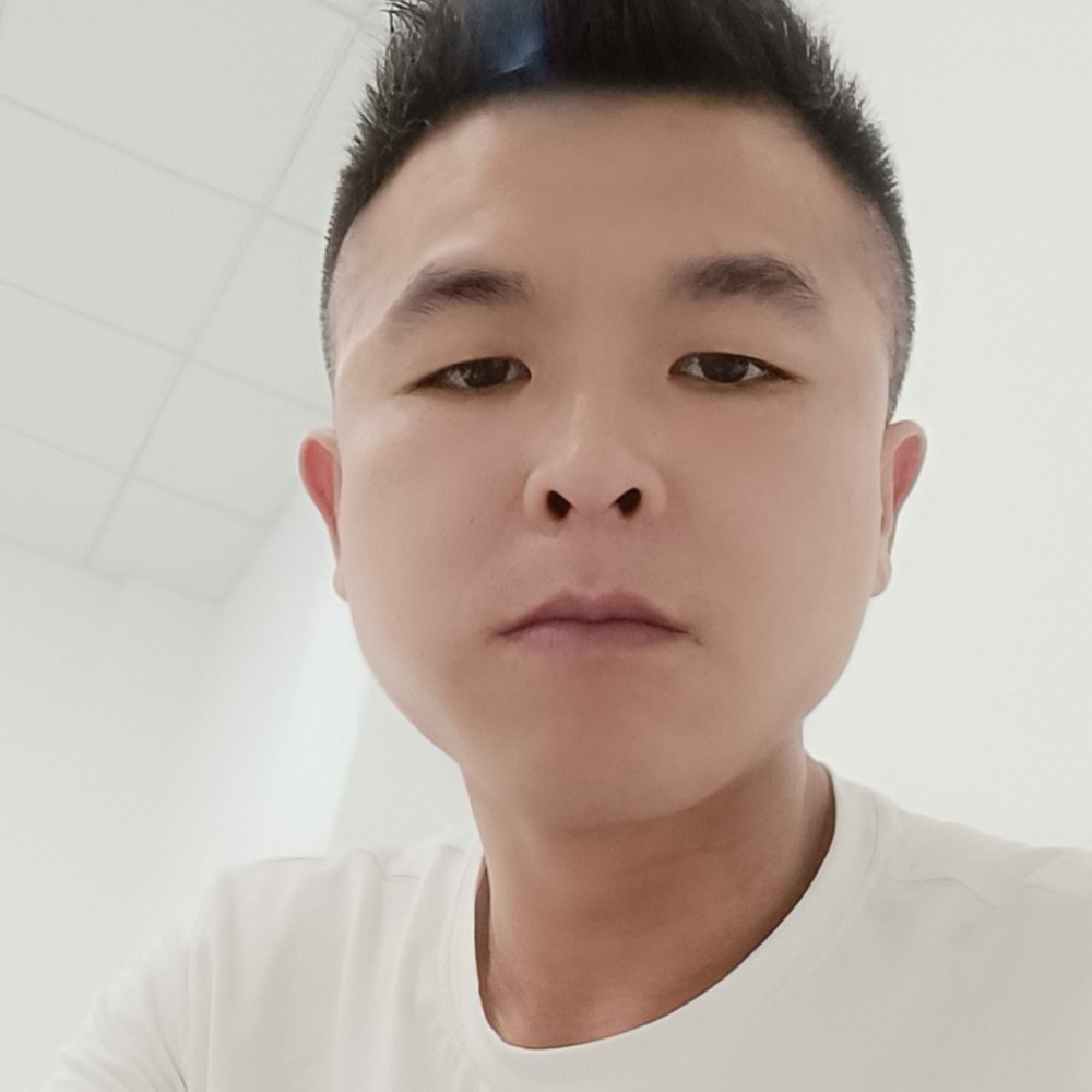 顺利倾心狗的照片
