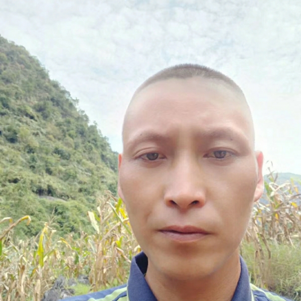 沉默扯孤心的照片