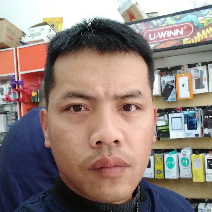 绵密的红玫瑰的照片