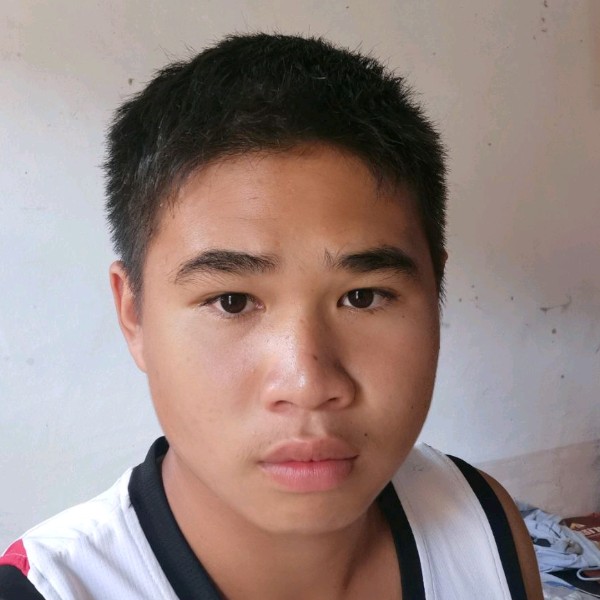 小猫咪相许错落的照片