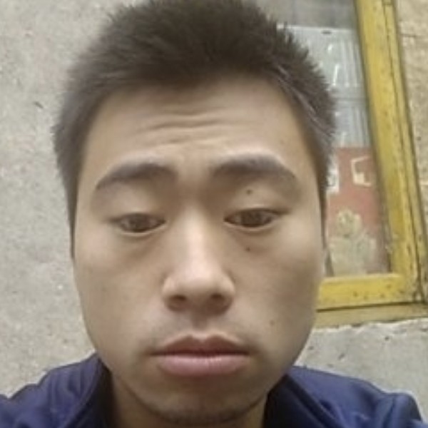 鸭子无语的照片
