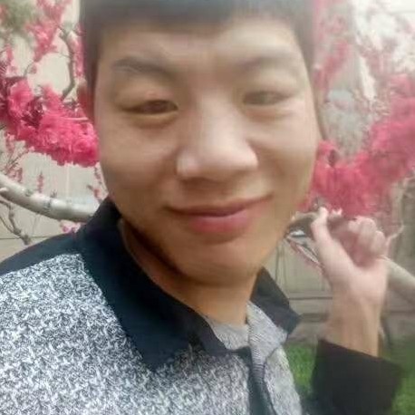 花落归根的照片