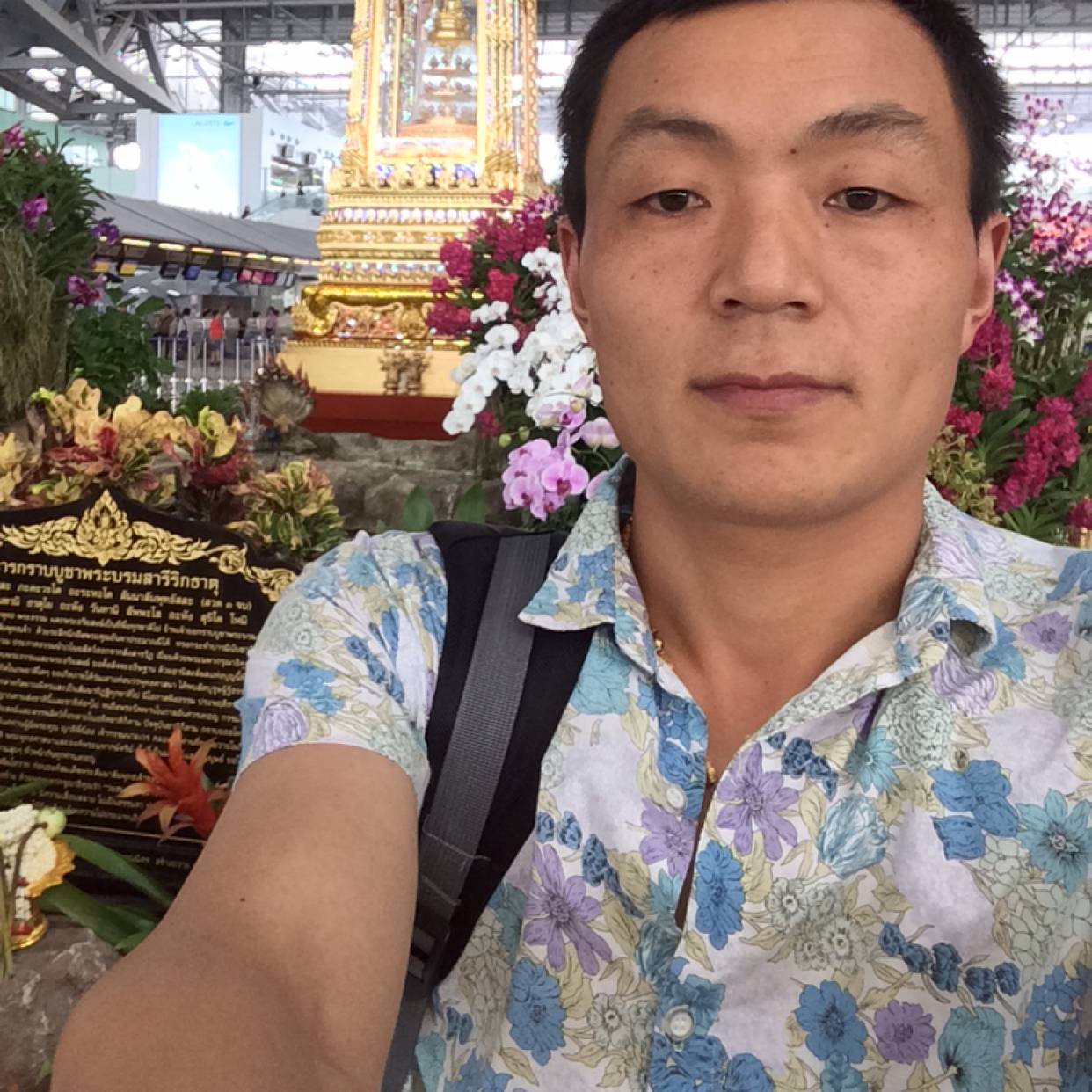mhw缘份的照片