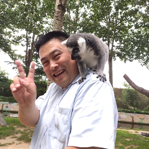 磬音有背后的照片