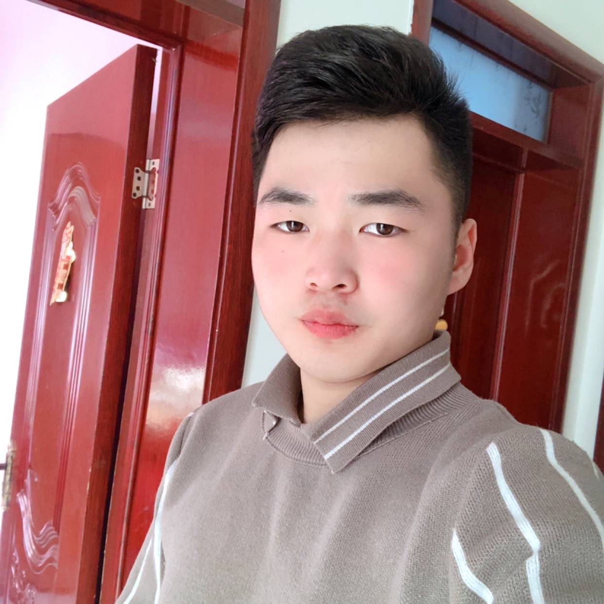 强健多么小蘑菇的照片