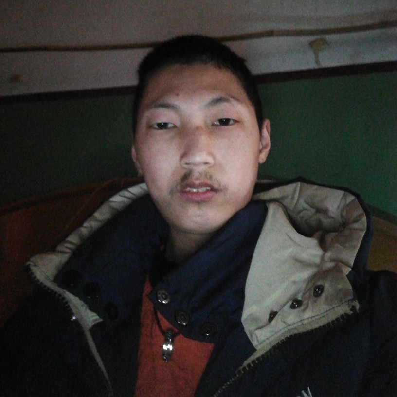 龙猫爱恋如意的照片