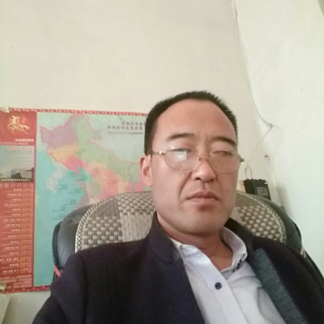 羽毛俊逸的照片