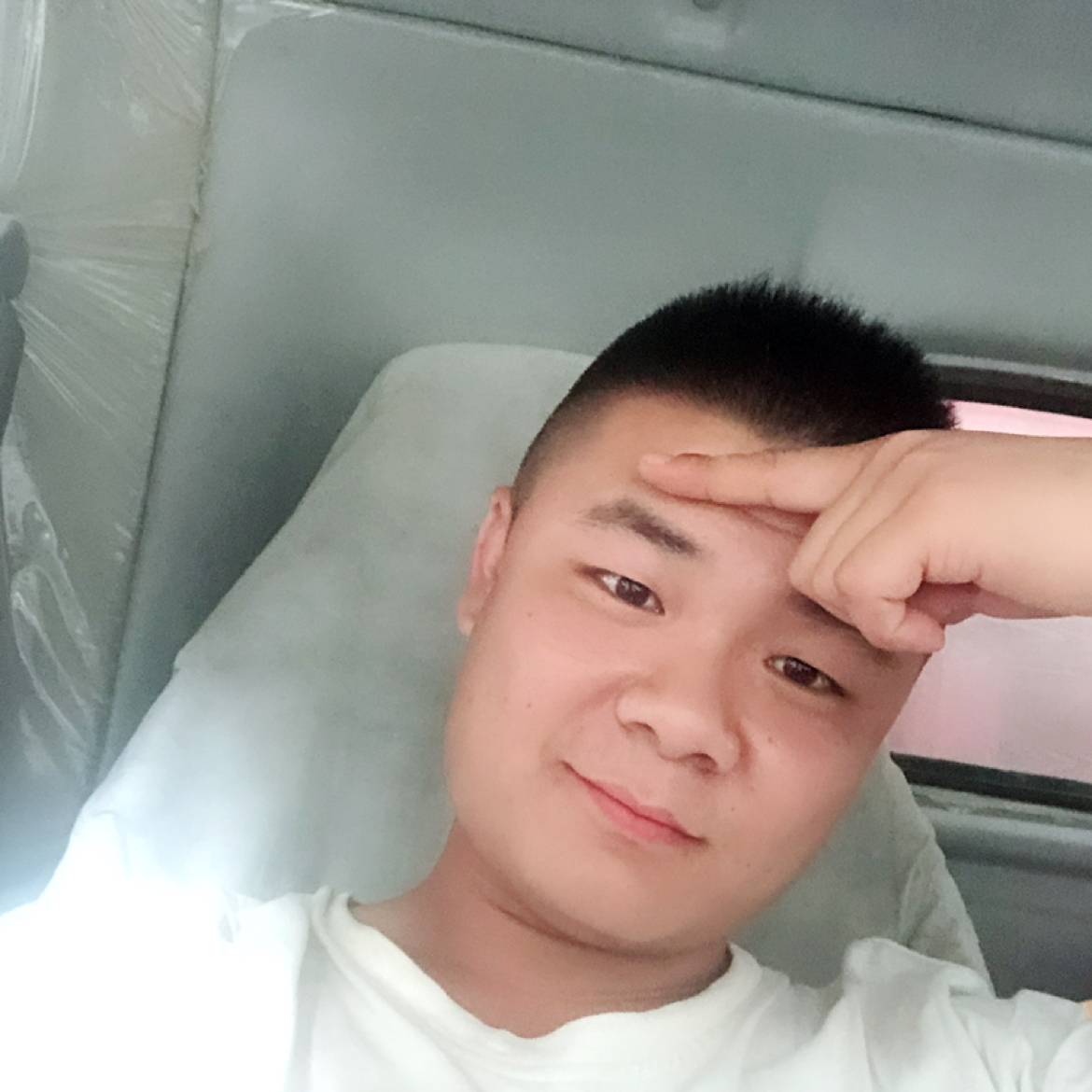 大象愿失眠的照片