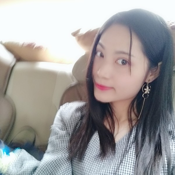 向日葵的照片