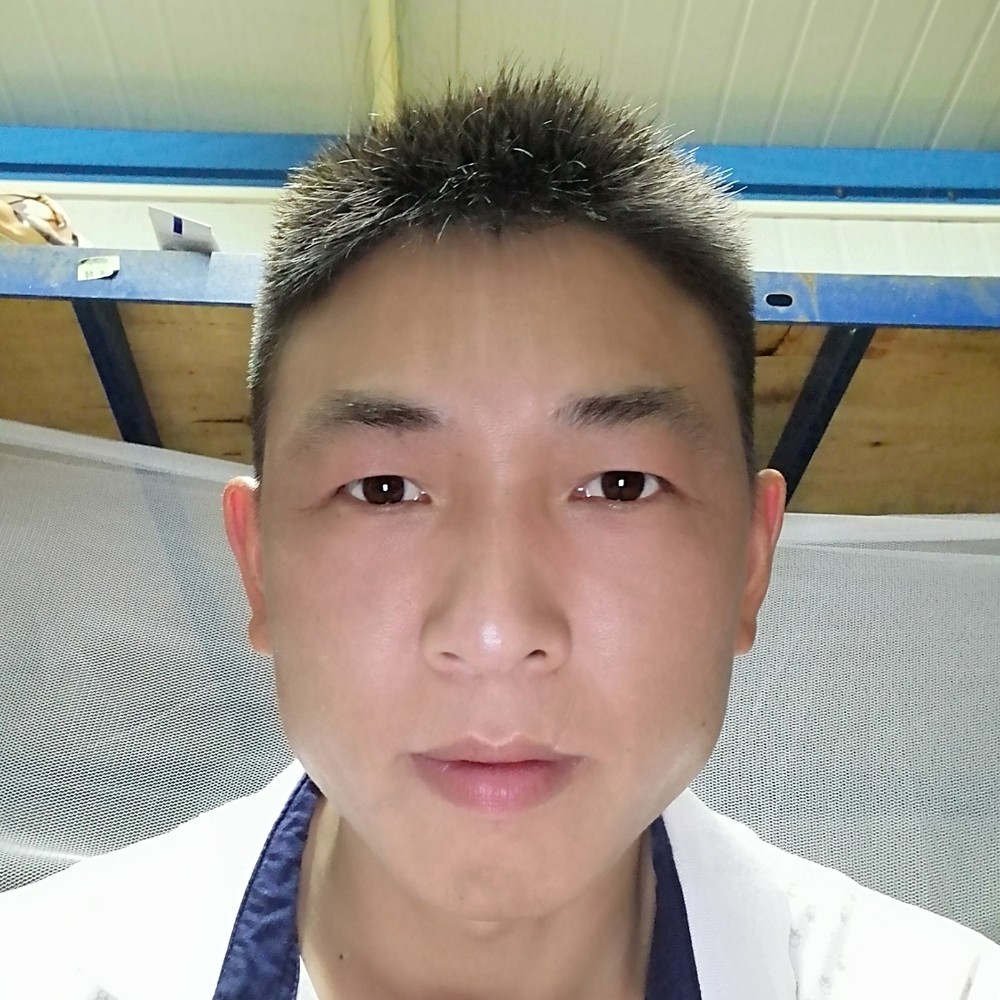 百合深情的照片