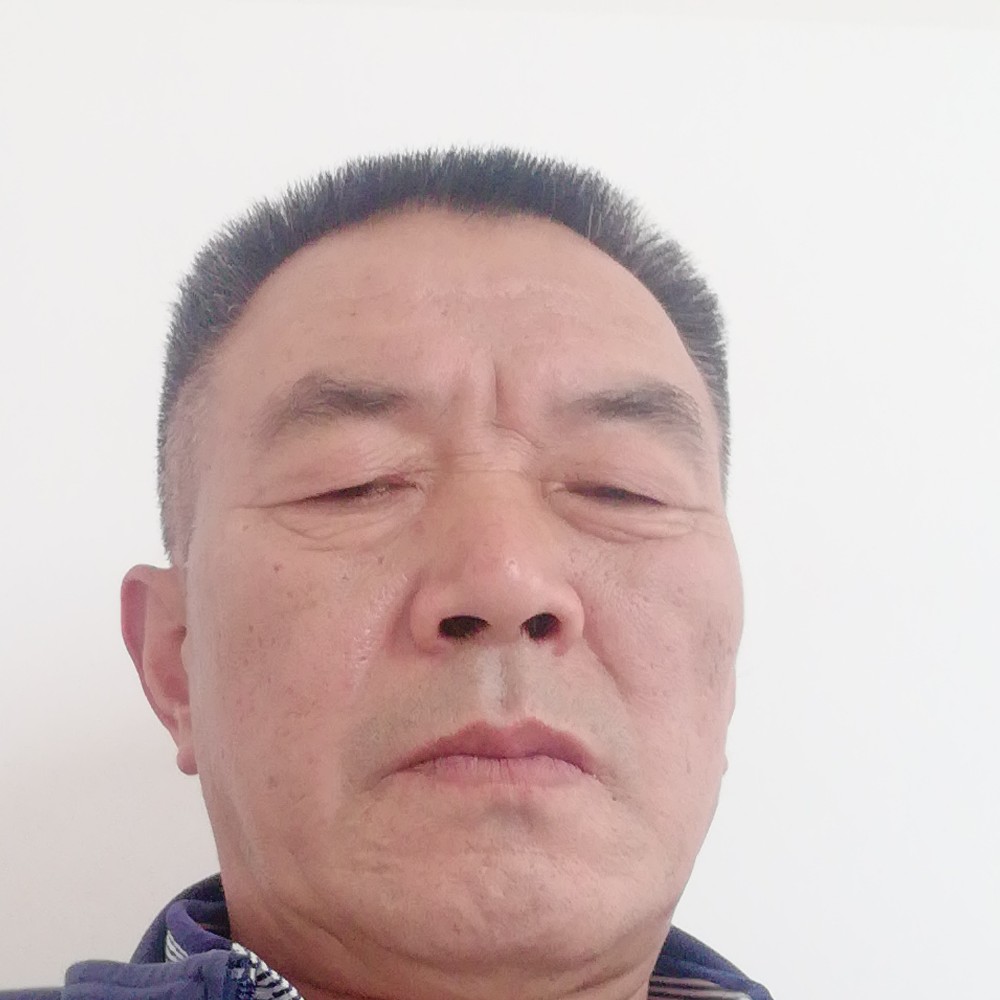 柠檬自由的照片