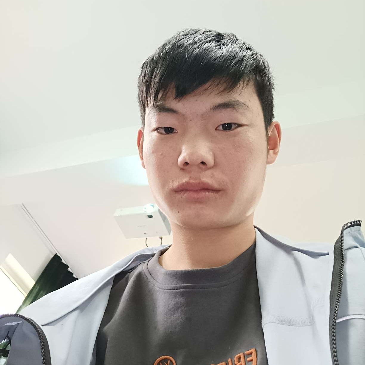 鱼向整齐的照片