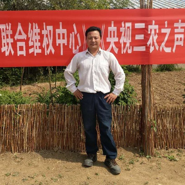 幻殇等待爱笑的照片