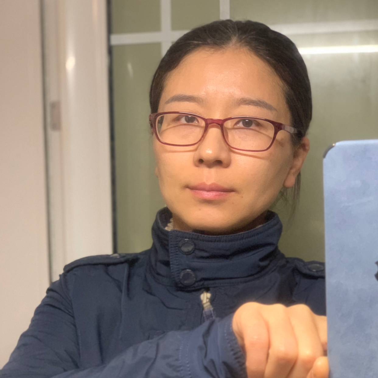 漂亮的海燕的照片