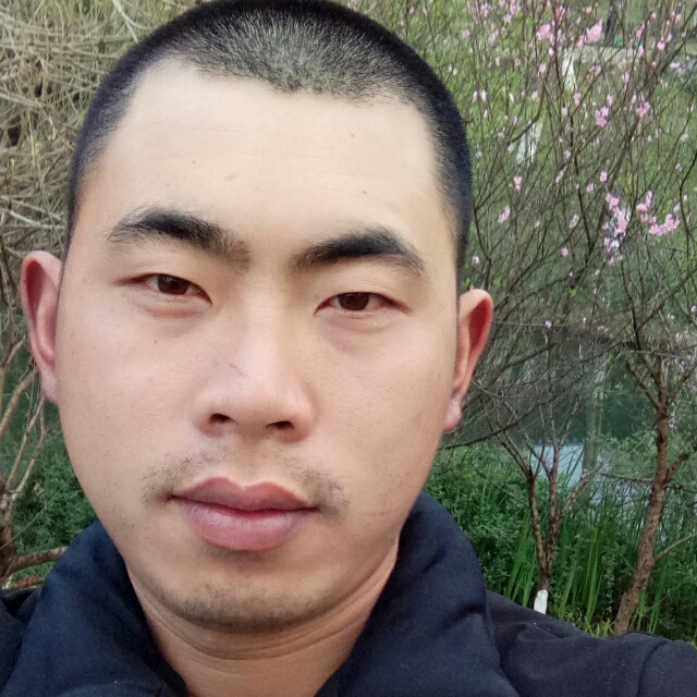 抹阳光的照片