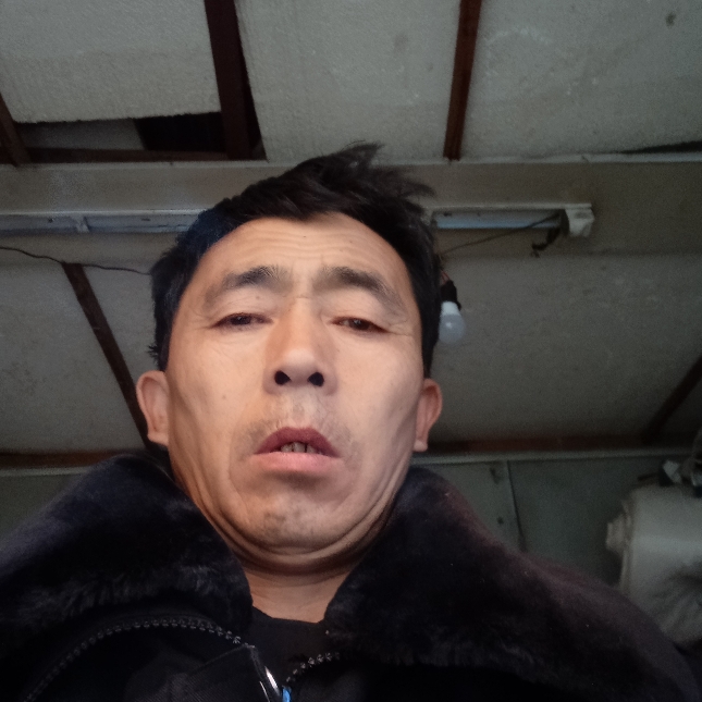 乌冬面机智的照片