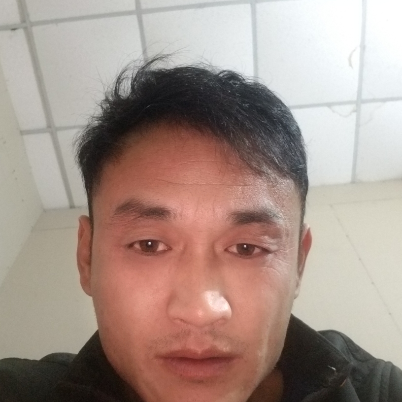 开放月饼的照片