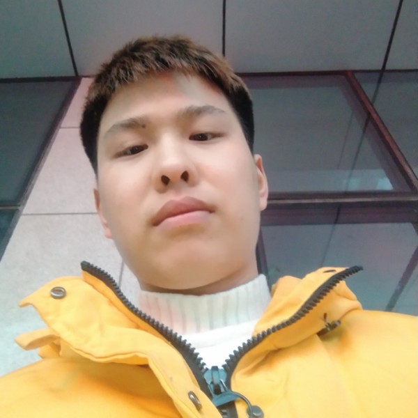 犬来八荒的照片