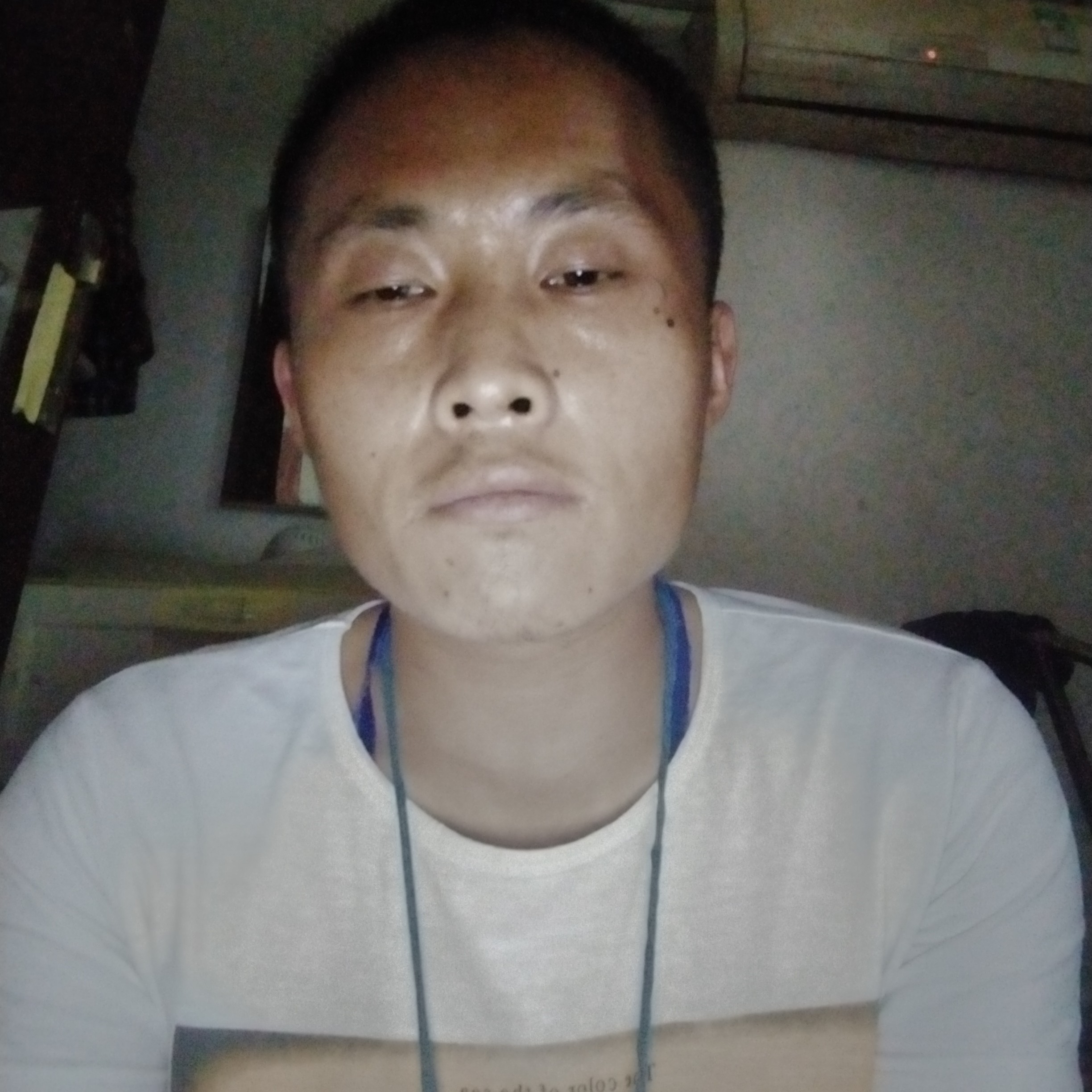 黄蜂蹁跹冷傲的照片