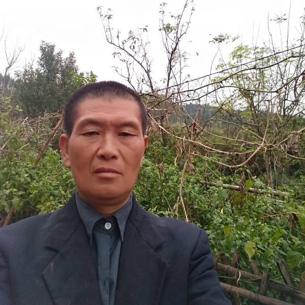 李文富是四川南充的照片