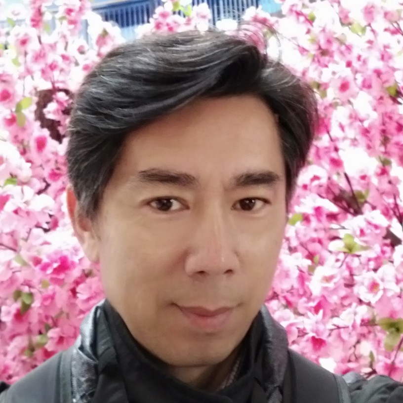 猫咪漫步潇洒的照片