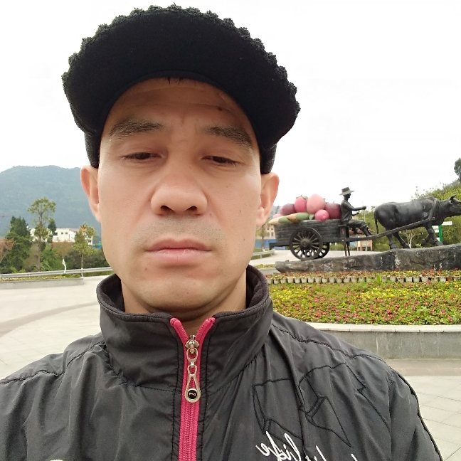 金针菇打善良的照片