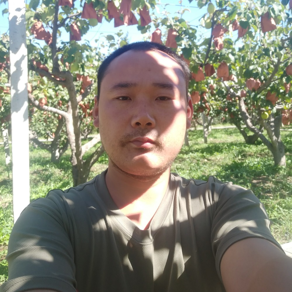 和谐枕头的照片