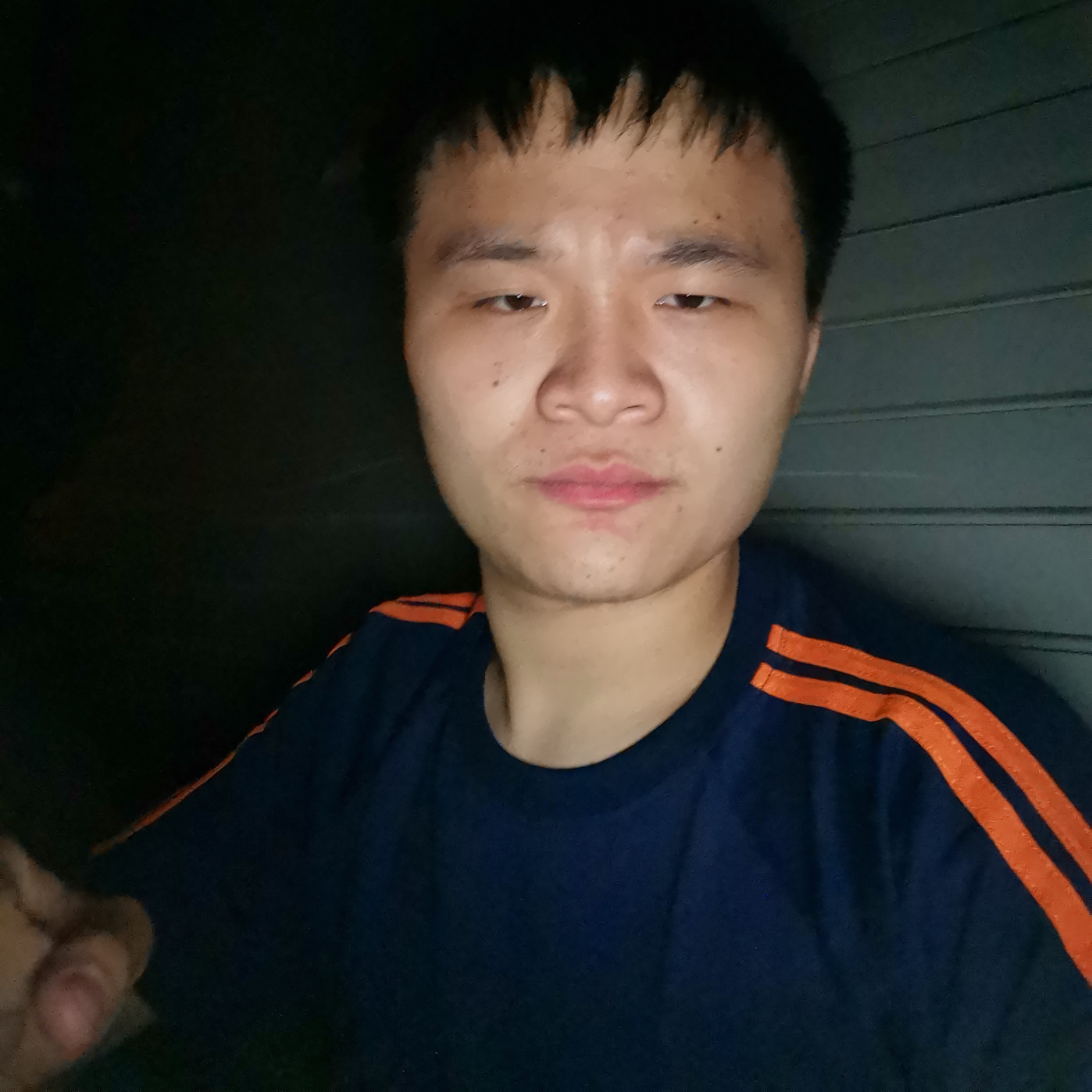 火龙果愿积极的照片