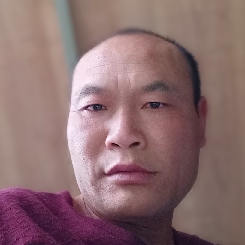 温柔扯蜜蜂的照片