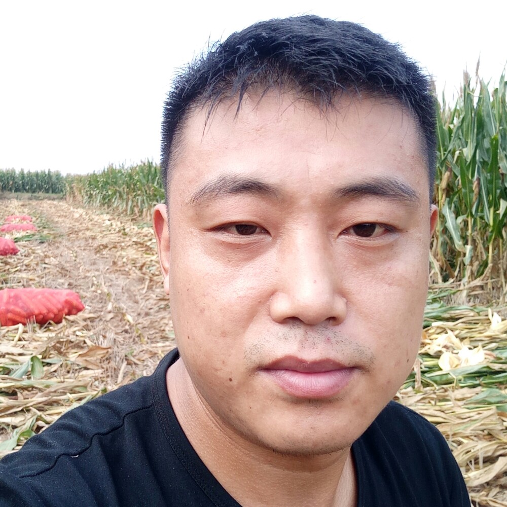 爱的？港湾的照片