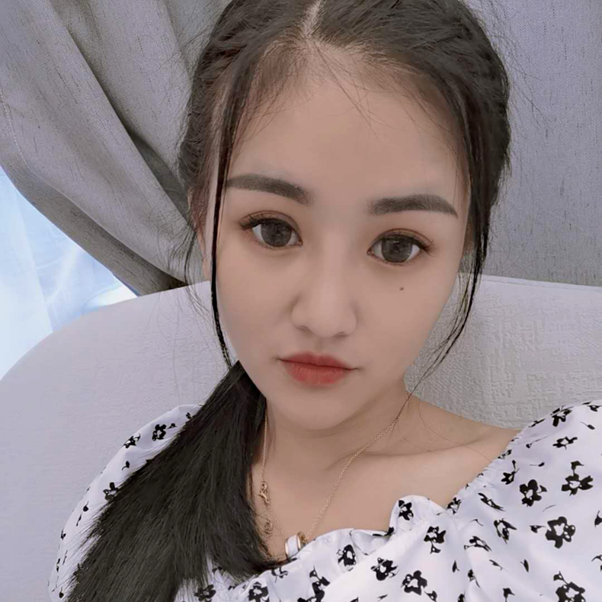 白猫认真的照片