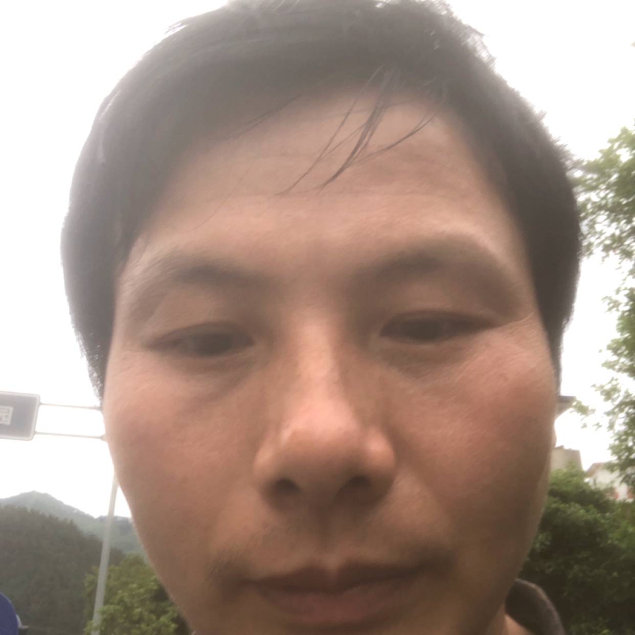电话和野性的照片