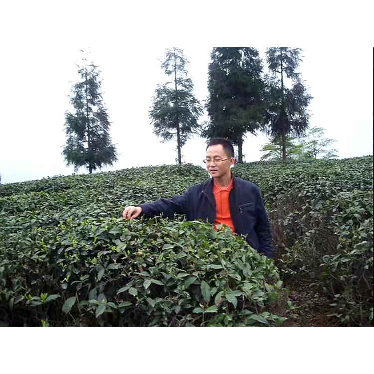 青琯爱碧蓝的照片